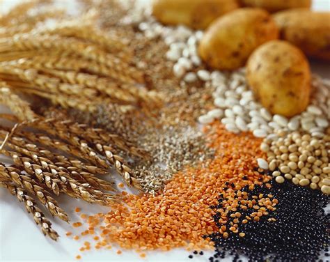 Pflanzenproteine: kombinieren Getreide und Hülsenfrüchte