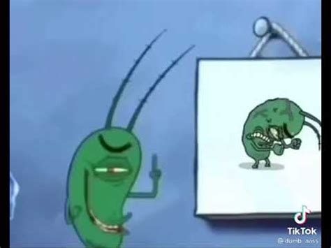 Plankton Poo Играет Важную Роль В Сумеречной Зоне Океана