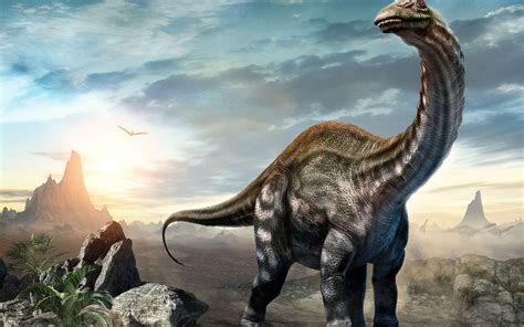 Racines Anciennes: Des Fleurs Peuvent Avoir Existé Lorsque Le Premier Dinosaure Est Né