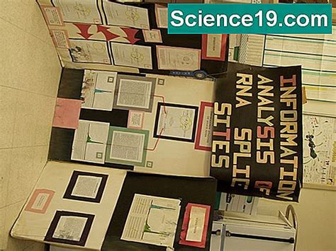 Science Fair Projekte auf Hebel, Keile & Riemenscheiben