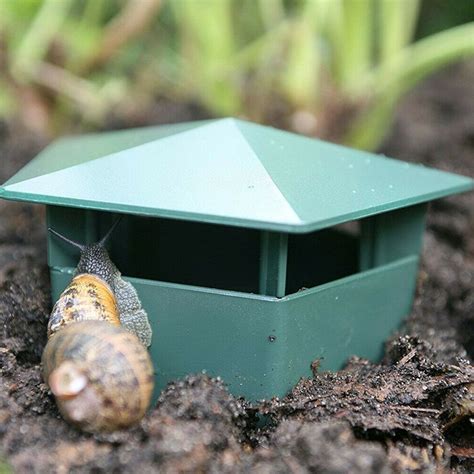 Snail traps: Useful or not?