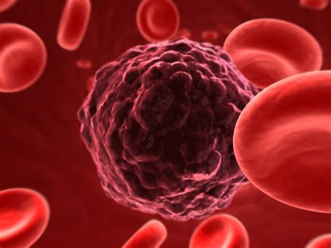 Stammzellen Können Krebs Verursachen