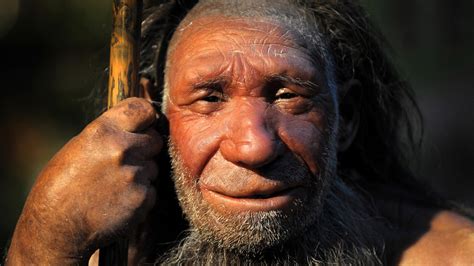 Starben Neandertaler Ab, Weil Sie Feuer Nicht Nutzen Konnten?