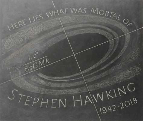Stephen Hawking Maetud Isaac Newtoni Ja Charles Darwini Vahel