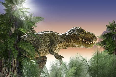 Stubb-Ginkluotas Dinozauras Buvo T. Reksas Iš Pietų Pusrutulio