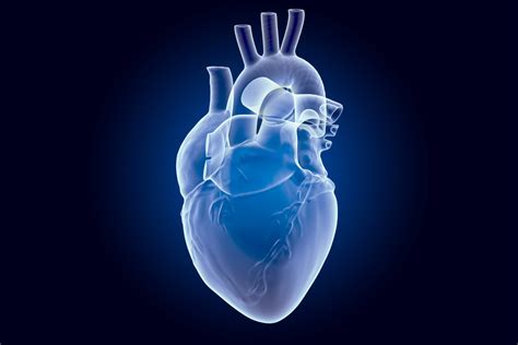 Sunkieji Metalai Gali Kelti Dar Vieną Pavojų Sveikatai: Širdies Ligos