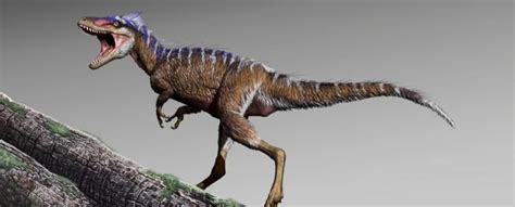 T. Rex'In Küçük Kuzeni Bir Şahin Gibi Yiyor, Araştırma Buluyor