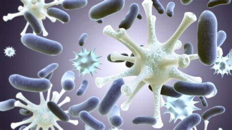 Tarmfølelse: Bakterier Inde I Dig Kan Ændre Hjernekemi