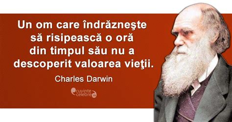 Timpul De A-L Pune Pe Darwin În Locul Său