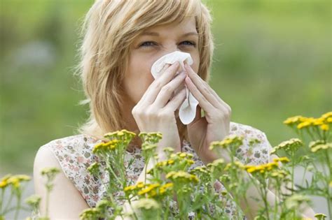 Tyrėjai Tiksliai Nustato Glitimo Alergijos Priežastį