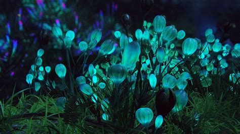 Uma rosa bioluminescente para Avatar