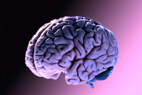 Un'Altra Malattia Del Cervello Fatale Può Venire Dalla Diffusione Delle Proteine ​​'Prion'