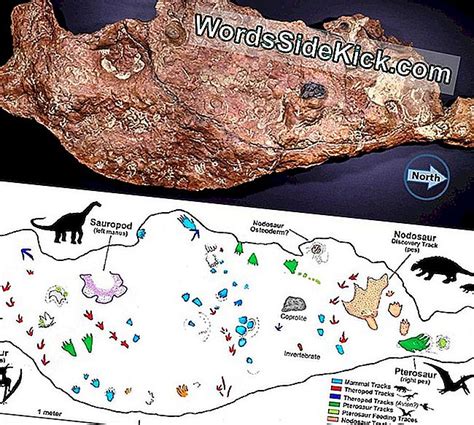 Waren Dinosaurussen Met Een Feest Miljoenen Jaren Geleden In Nasa'S Achtertuin?