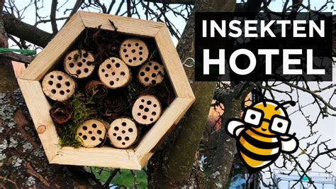 Welche Bienen machen Nester in Bäumen?