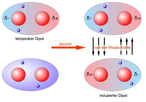 Wie halten Van-der-Waals-Kräfte Moleküle zusammen?