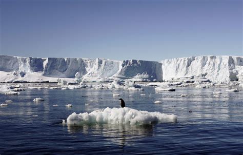 Zinātnieki Atrod Desmitiem Slēptu Zemestrīču, Kas Aprakti Zem Antarktīdas Ledus
