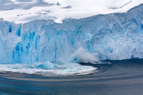 À Mesure Que La Glace De Mer De L'Antarctique Fond, Les Algues Étouffent Le Fond Marin