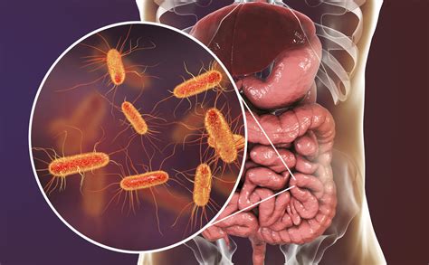 Как «Плохие» Кишечные Бактерии Могут Изменить Их Злые Пути