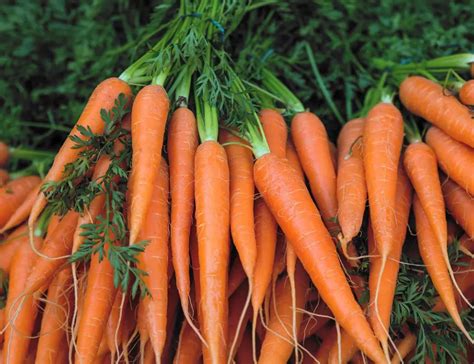 Как да запазя морковите си?