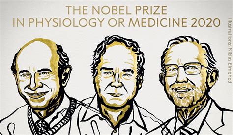 Открития На Стволови Клетки Snag Нобелова Награда За Медицина