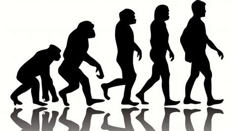 Характерната Среда Може Да Бъде Ключова За Човешката Еволюция