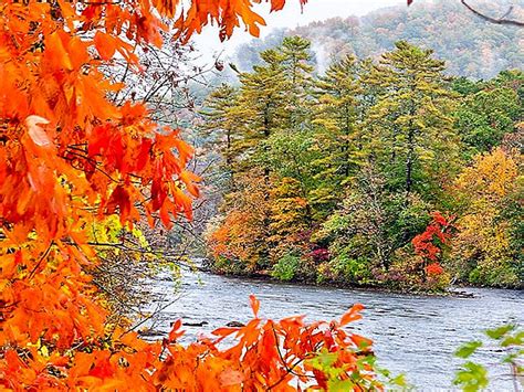 秋の紅葉を見るニューイングランドで最も美しい8つの場所