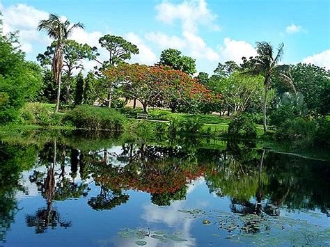 플로리다에서 제공해야 할 가장 아름다운 정원 10 곳